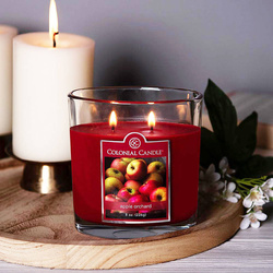 Candela profumata ovale Colonial Candle 226 g - Apple Orchard