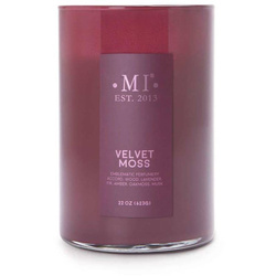 Colonial Candle Vela perfumada de soja sofisticada para hombres en vaso 22 oz 623 g - Velvet Moss