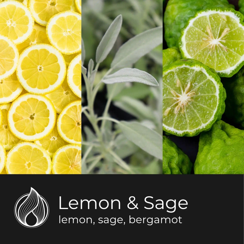 Candle World sójový vonný vosk Lemon Sage 50 g Sage Lemon