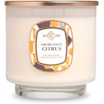Luxusná vonná sviečka Oroblanco Citrus Colonial Candle