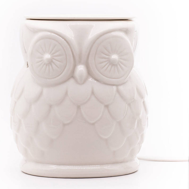 Brucia essenze elettrico Owl gufo in ceramica