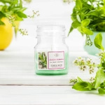Soy scented candle Lemon Verbena Purple River 113 g