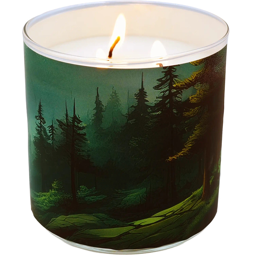 Candle World bos soja geurkaars 3 lonten Whispering Woods 460 g