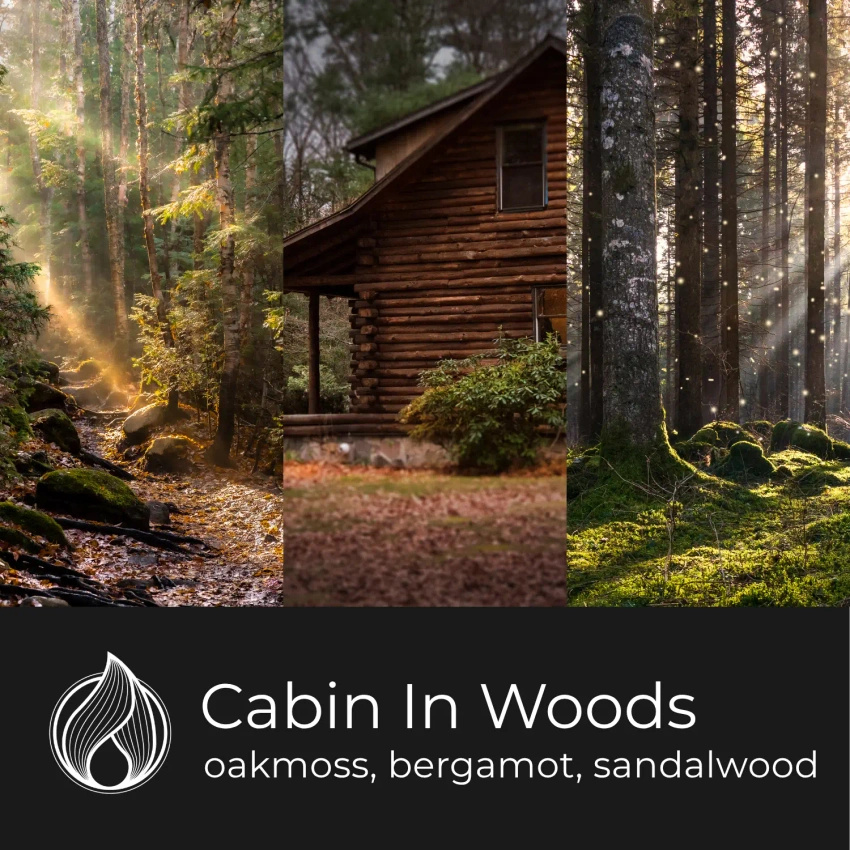 Candle World cera perfumada de soja Cabin In Woods 50 g woody