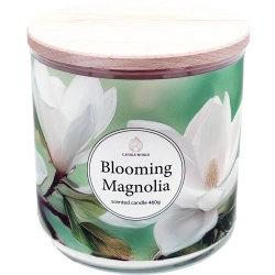 Candle World soy floral scented candle 3 wicks Blooming Magnolia 460 g