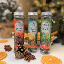 Scentsicles Christmas tree scented sticks 6 pcs - White Winter Fir