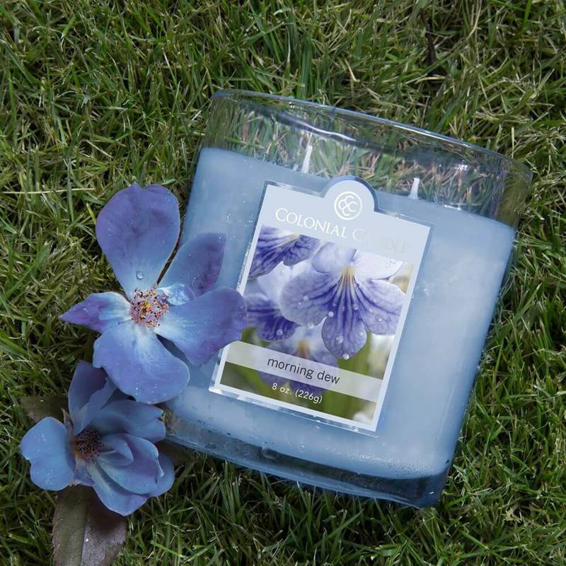 Candela profumata ovale Colonial Candle 226 g - Morning Dew