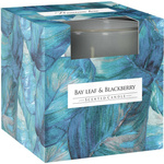 Bispol scented candle glass in box 100 g - Bay Leaf & Blackberry
