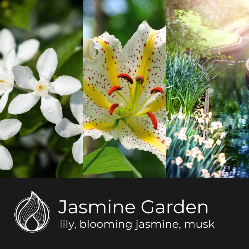 Candle World soja-Duftwachs Jasmine Garden 50 g Jasmin
