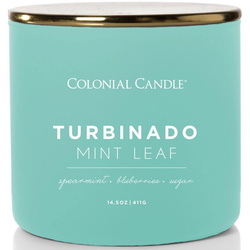 Colonial Candle Pop Of Color bougie de soja parfumée en verre 3 mèches 14.5 oz 411 g - Turbinado Mint Leaf