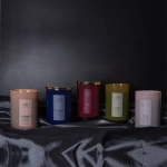 Colonial Candle Sophisticated masculine soy scented candle 22 oz 623 g - Cheviot Birch