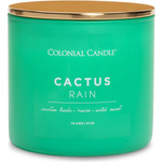 Soy scented candle 3 wicks - Cactus Rain Colonial Candle