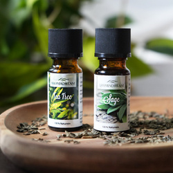 Teebaumöl ätherisch natürlich Aroma Dream 10 ml - Tea Tree